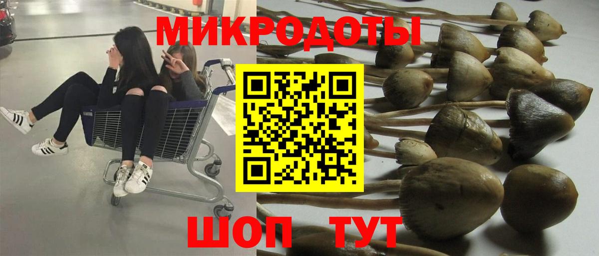 Галлюциногенные грибы Psilocybe Ревда